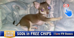 500k in FREE CHIPS 8/29