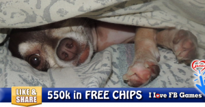 550k in FREE CHIPS 8/30