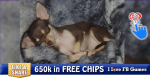 650k in FREE CHIPS 8/30