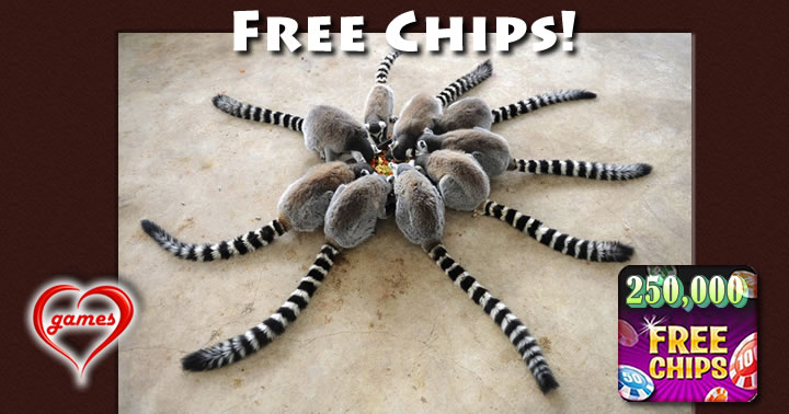 Lemur circle