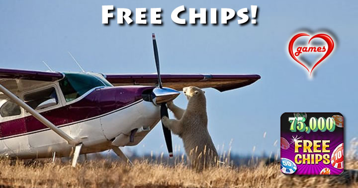 Polar Bear Plane - Free Doubledown Chips