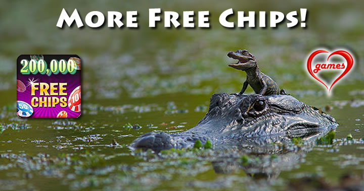 baby gator going for ride