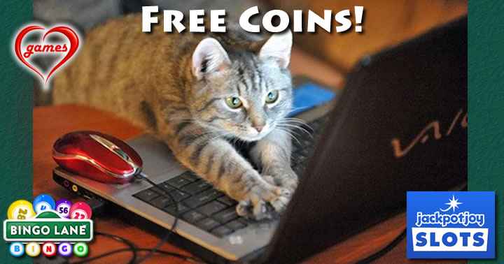 cat laptop