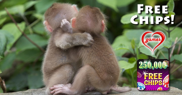 hugging monkeys