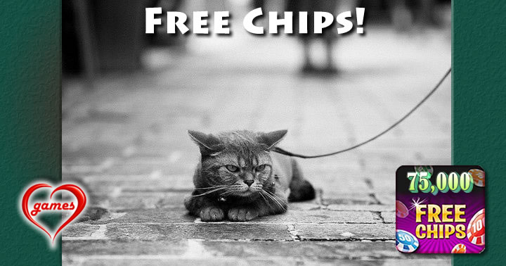 mad cat