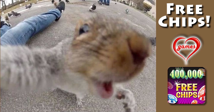 squirrel selfie