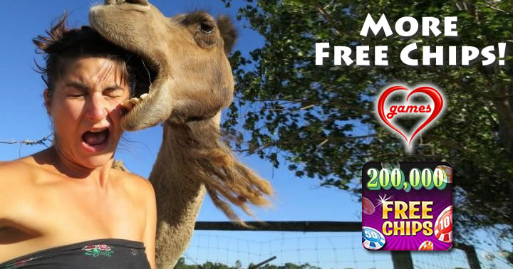 Camel Tasting