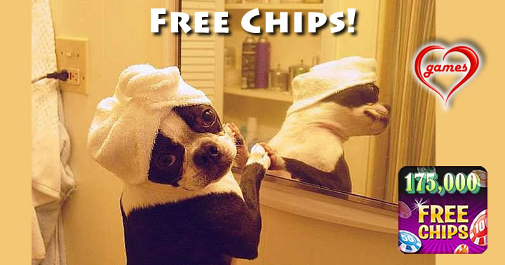 Pug in a Turbin