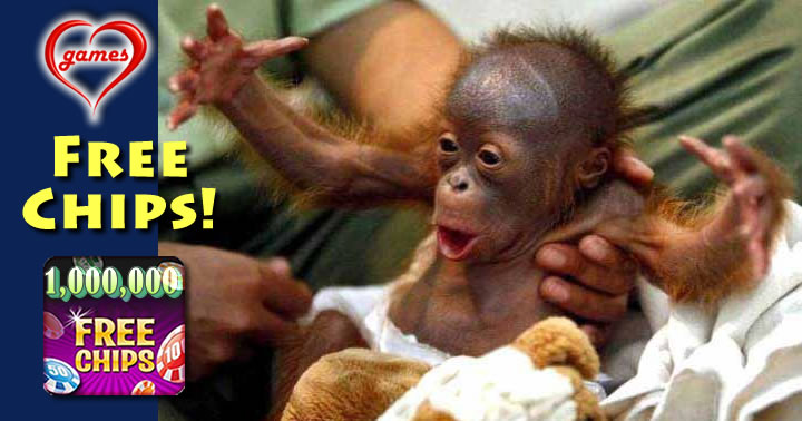 baby orang