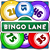 Bingo Lane
