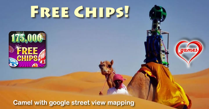 camel google map street view