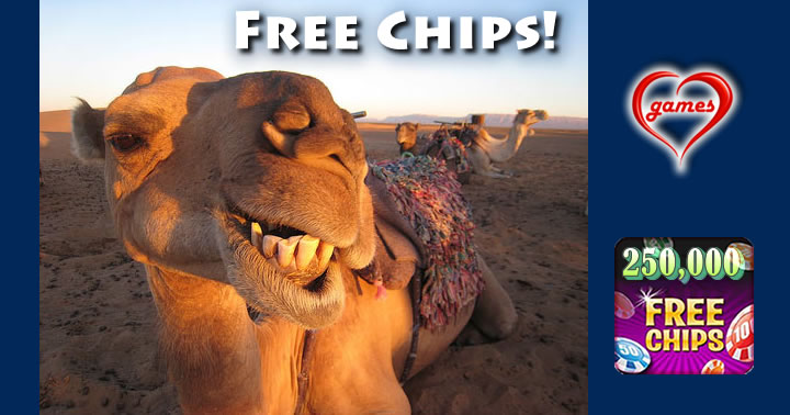 camel smilin