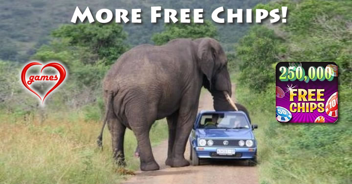 car vs elephant
