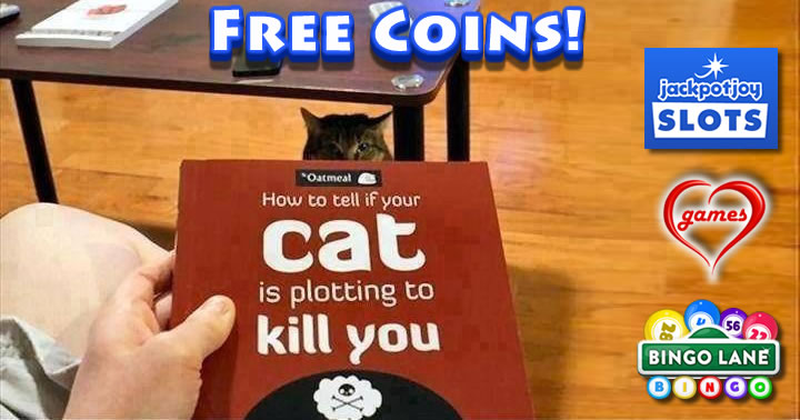 cat-plotting-to-kill-you