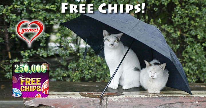 cats umbrella2