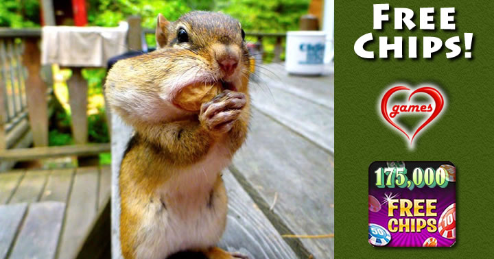 chipmunk filling up