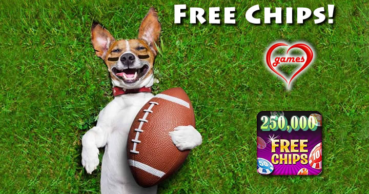 dog wirth football
