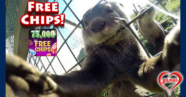 otter grabbing camera