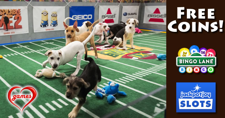 puppyy bowl combo