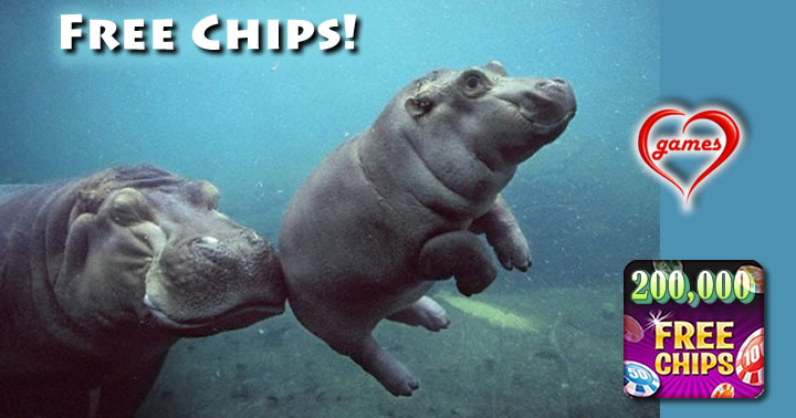 baby hippo