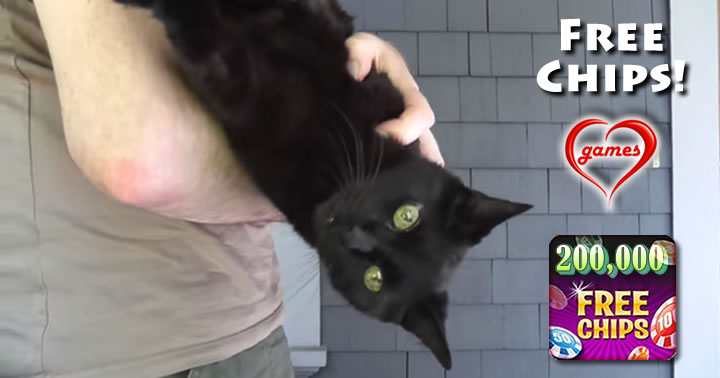 black cat 5
