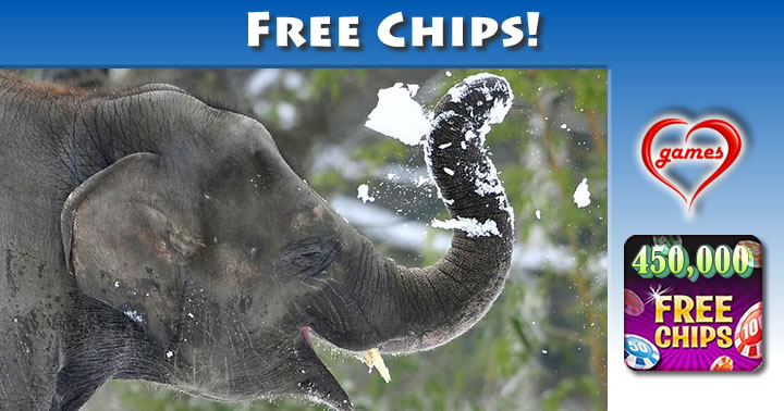 elephant snow