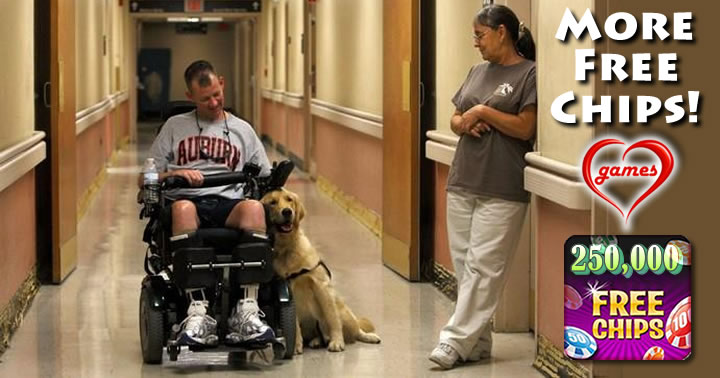 helping dogs