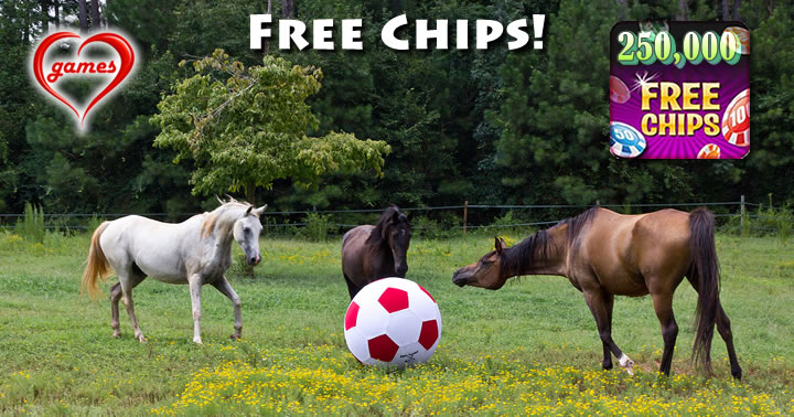horse playing ball