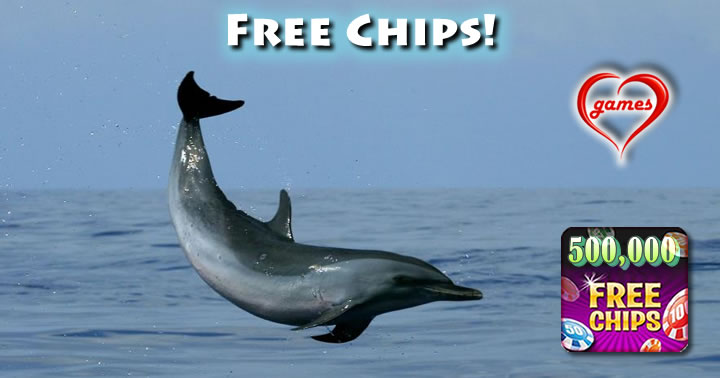 jumping dolphin