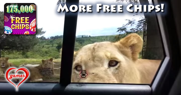 lion opens door