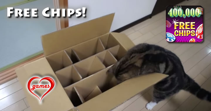 maru the cat