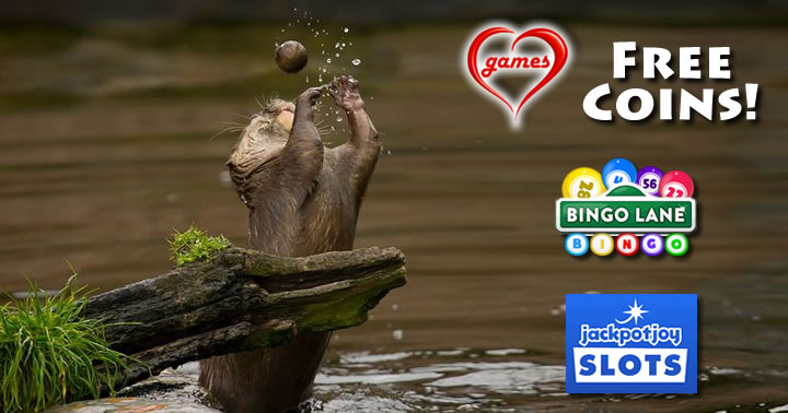 otter plays with rock