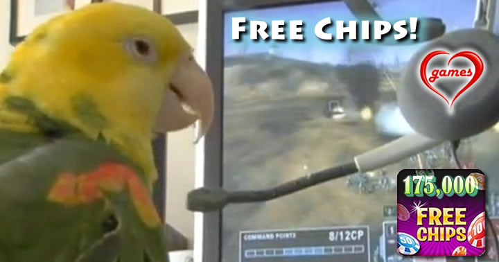 parrot playing video game
