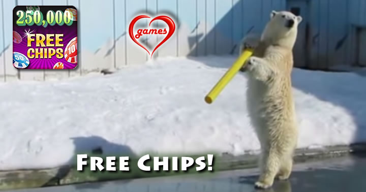 polar bear fun in snow
