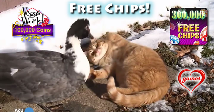 Cats-n-duck2