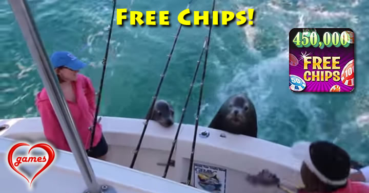 cabo-sea lion