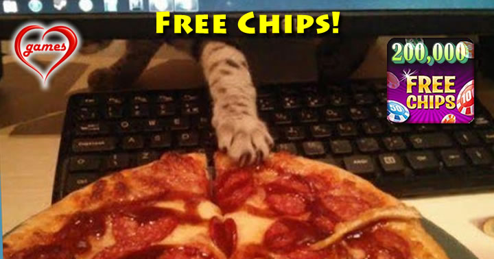 cat-pizza-thefts