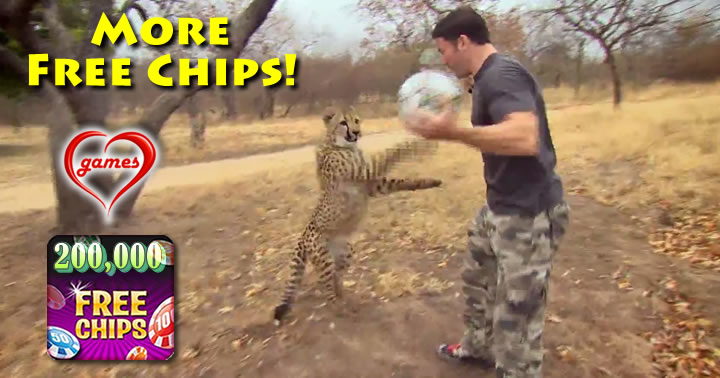 cheetah footbal