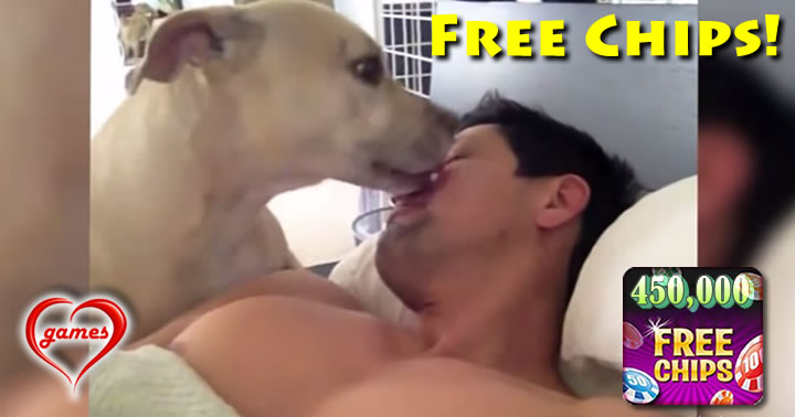 dog alarm clocks