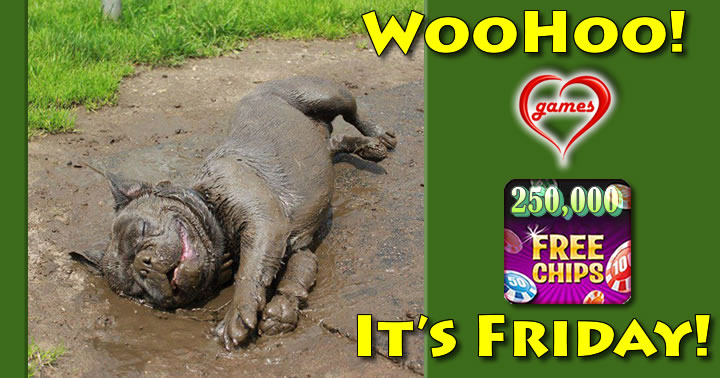 dog mud
