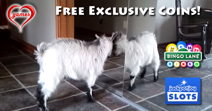 goat mirror