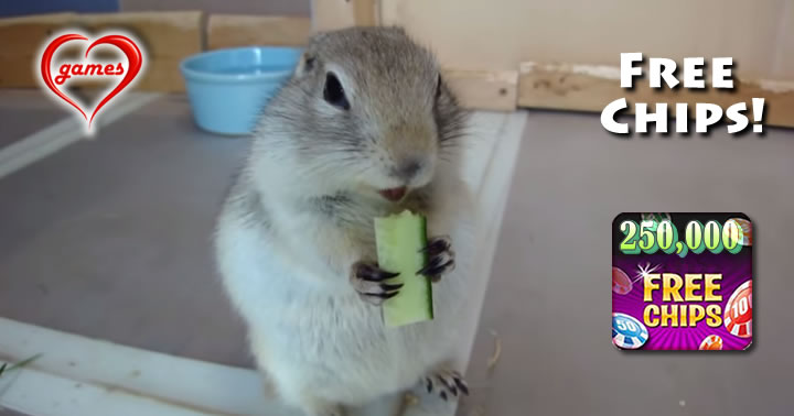 ground-squirrel