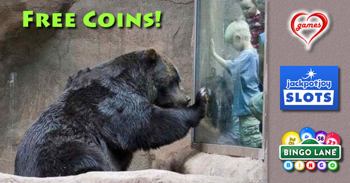 kid-at-zoo