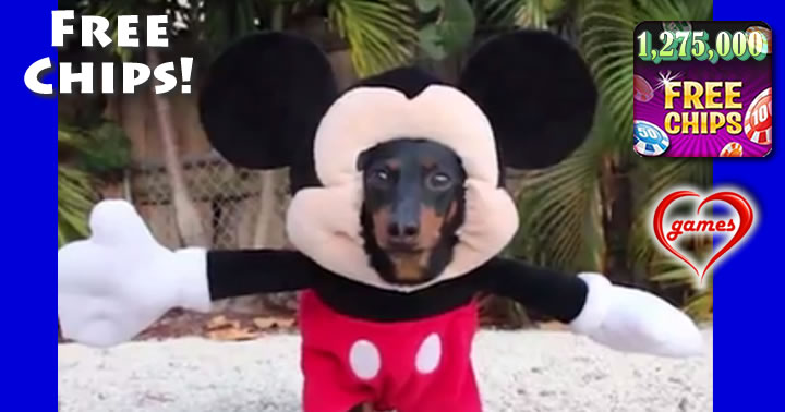 mickey-dog-