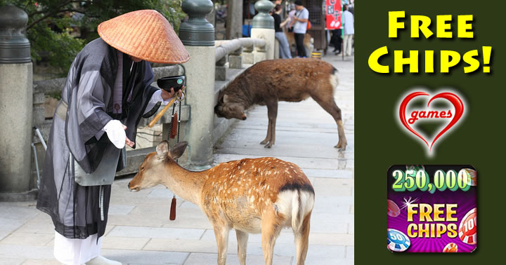 nada deer