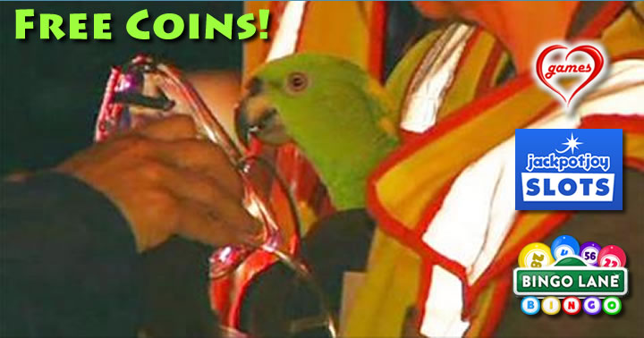 parrot-yells