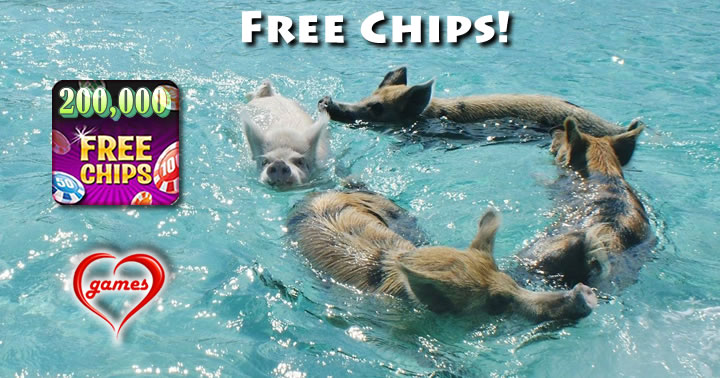 pig swimming