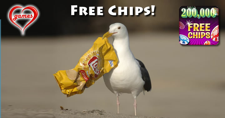 seagull
