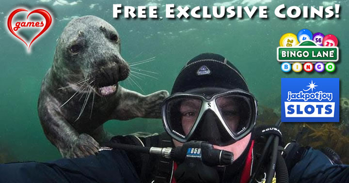 seal-scuba