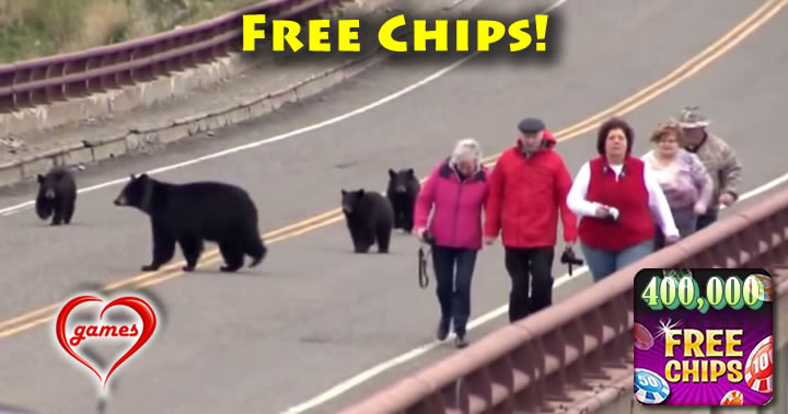 bear-chasing2